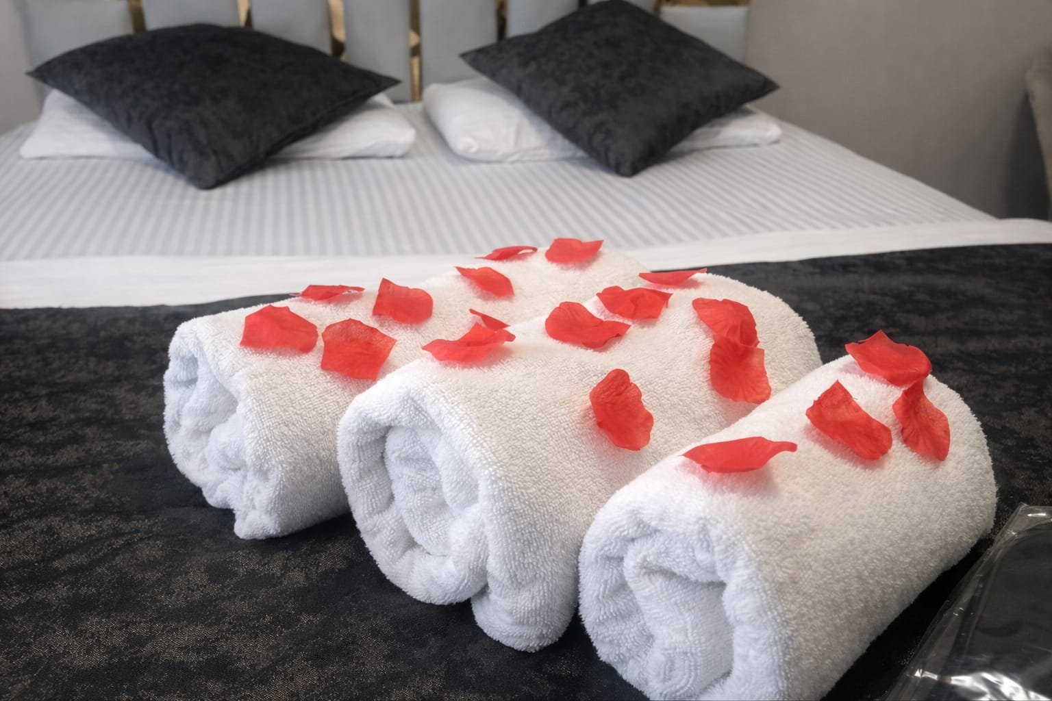 tüyap yanı günlük kiralık ev